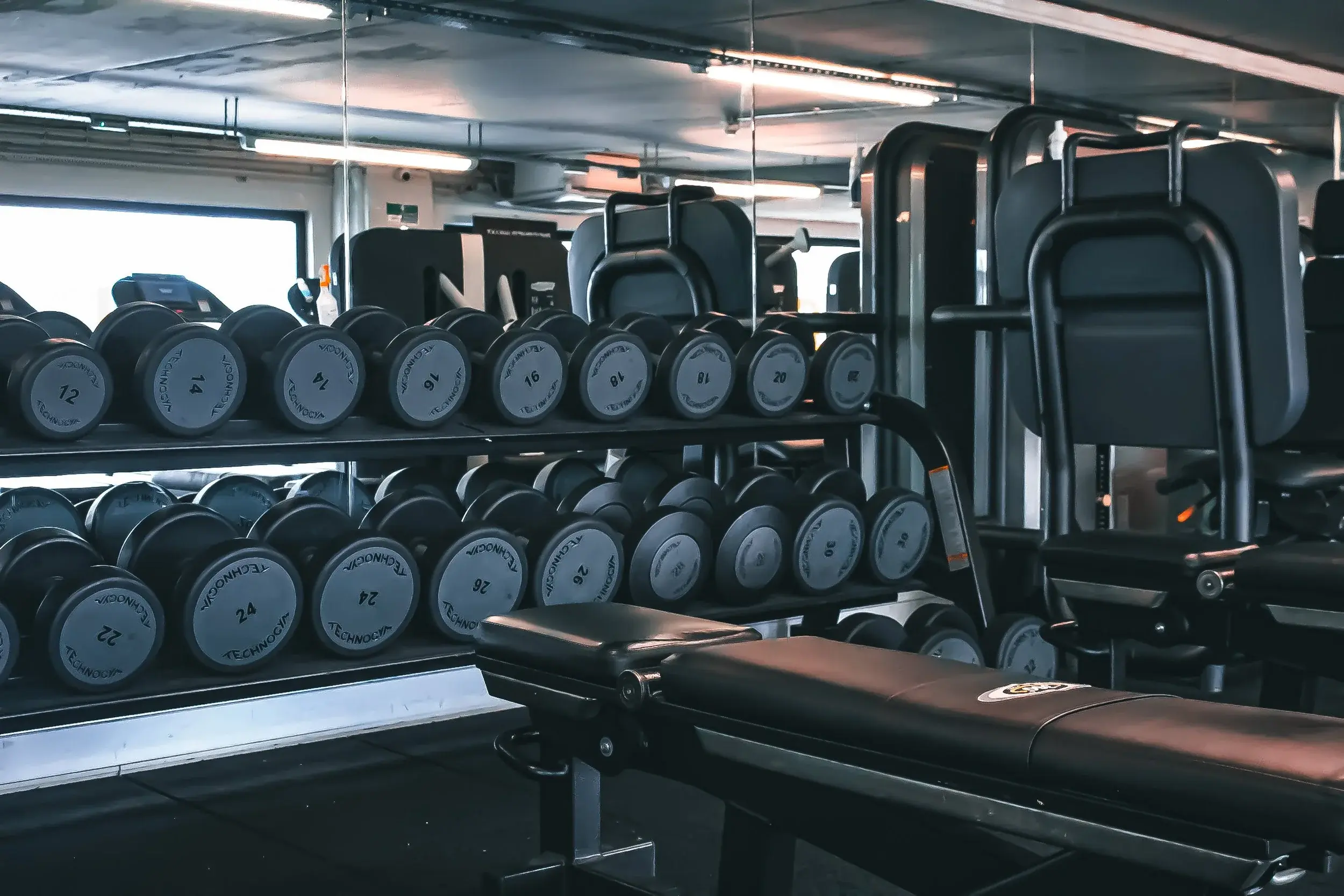 Racked dumbbells and resistance machines on the gym floor